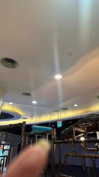 alexandra-central photo thumbnail #9